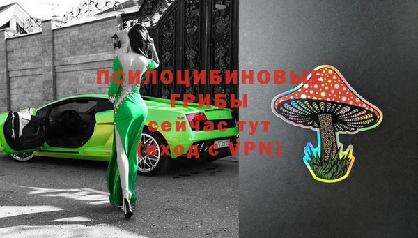 PSILOCYBIN Абаза