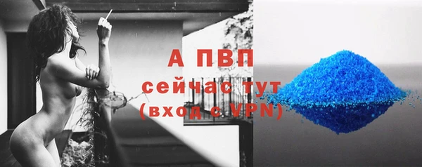 PSILOCYBIN Абаза