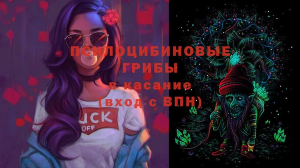 PSILOCYBIN Абаза